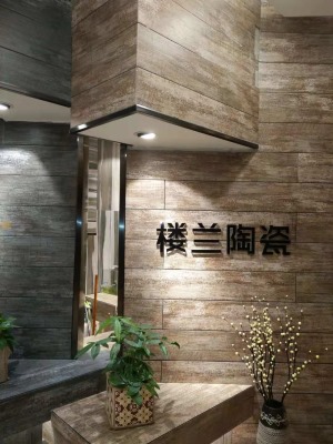 公司介绍