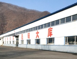 公司介绍